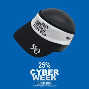 VISERA CYBER WEEK 1