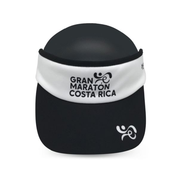 VISERA GMCR3